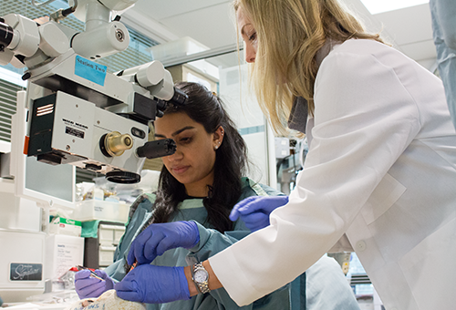 Heather O’Donnell (right), a fifth-year ophthalmology resident, supports UBC medical student Rahana Harjee with her first corneal stitch at Vancouver General Hospital’s Eye Care Centre.
